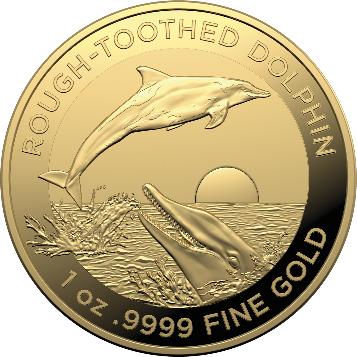 Investment Coins Gold 2023 One Hundred Dollars Rough Toothed Dolphin