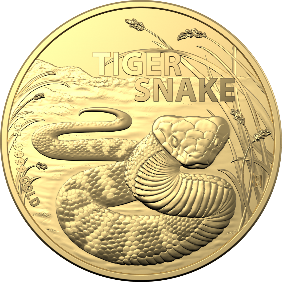 Investment Coins Gold 2024 One Hundred Dollars Australia's Most Dangerous Series - Tiger Snake