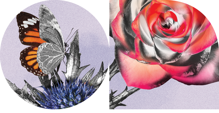 Floral Impressions Exhibition Home page banner