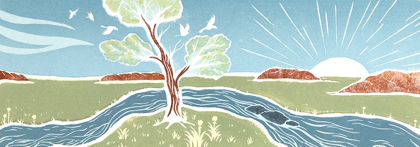 International Year of Rangelands and Pastoralists