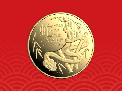 2025 Lunar year of the snake gold coin over red background