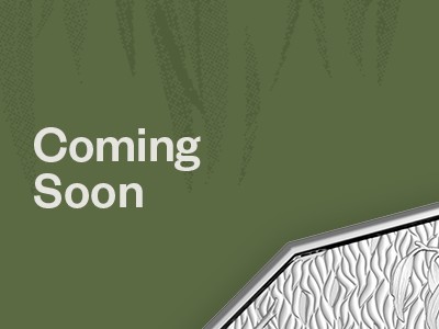 2026 Koala Coin Coming Soon